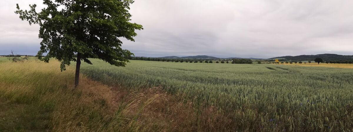 Bild der Gemeinde Doberschau-Gaussig